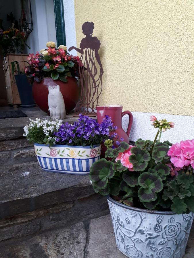 Appartement Haus Lerchenreith à Bad Aussee Extérieur photo
